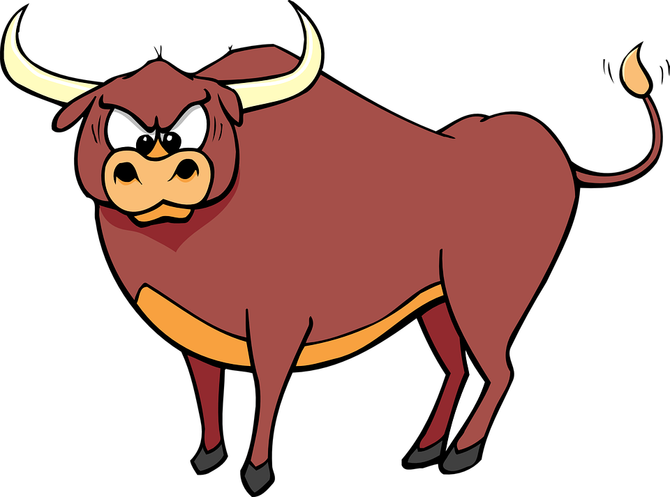 bull